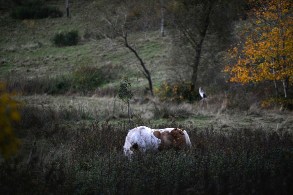 _DSC5763