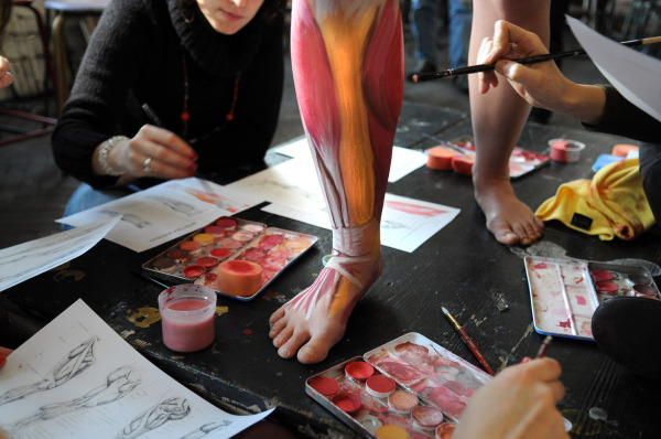 HEAR/ Cours d'anatomie artistique