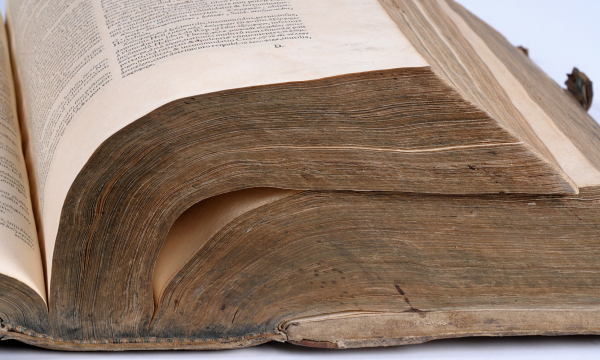 C'est peine perdue de pêcher sans hameçon et d'apprendre sans livre.