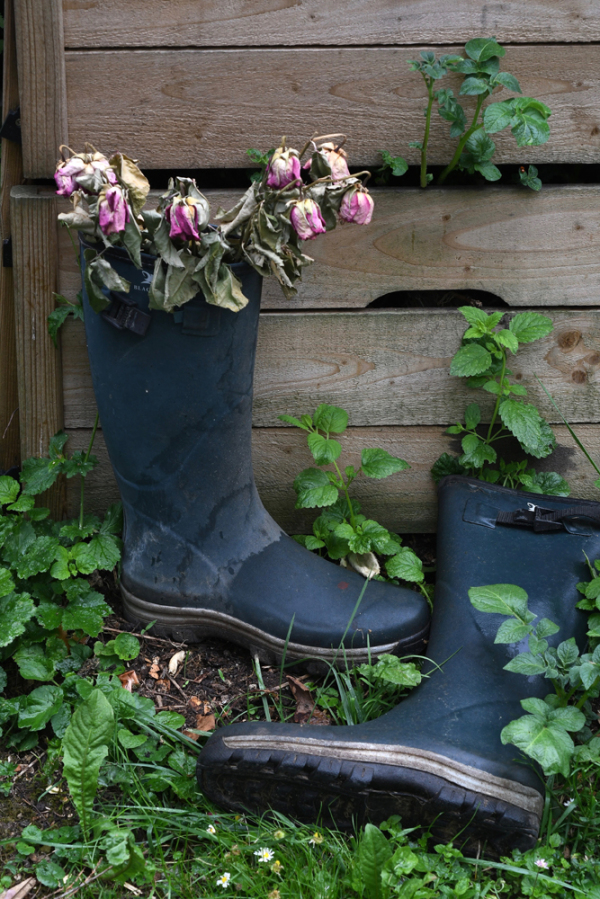 Bottes et roses