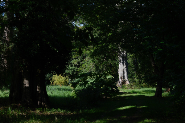 Ottrott, Parc de Charité