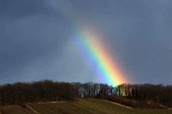 BOERSCH / Alsace