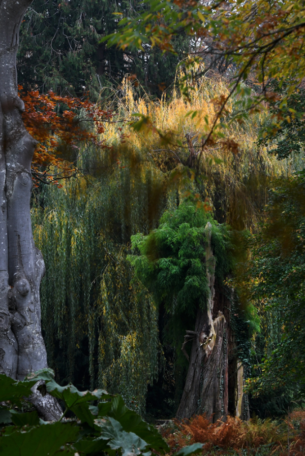 Ottrott, Parc de Charité