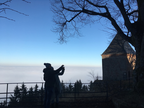 Mont Sainte Odile  janvier 2018