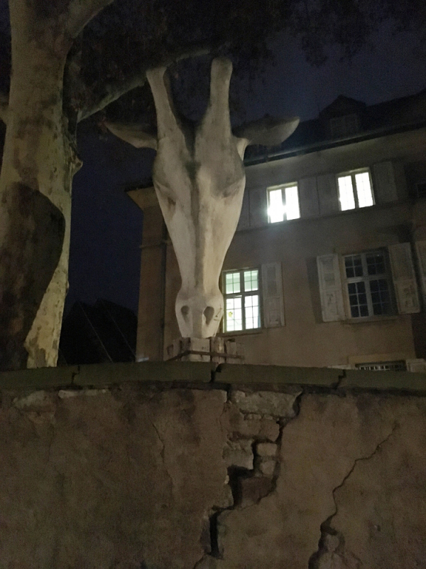 Strasbourg: Extérieur nuit.