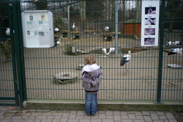 Strasbourg: parc de l'Orangerie