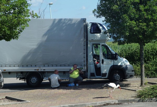 Aire du Ht Koenigsbourg: A35 Alsace