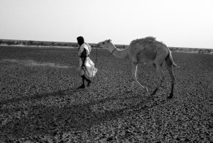 Sahara Occidental 1991