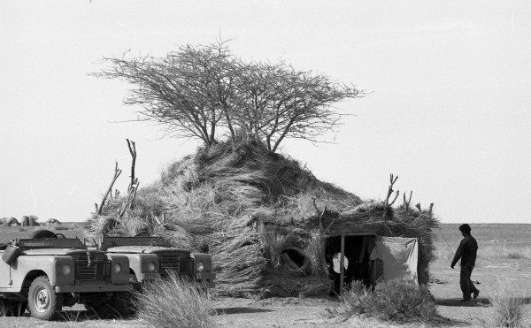 Sahara Occidental: Bivouac 1991