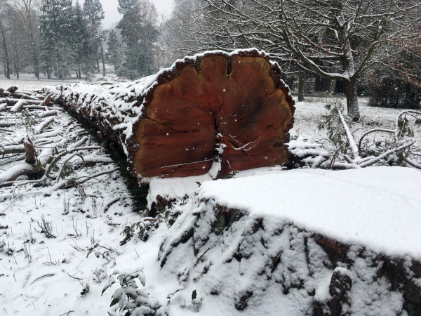 OTTROTT: Parc de Charité janvier 2019