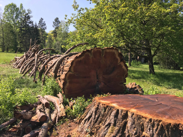 OTTROTT parc de Charité : avril 2019